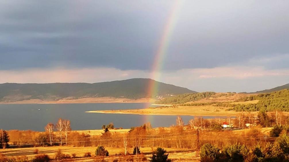 Вили Green Tsigov Chark Luaran gambar